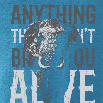 Elephant toosmall