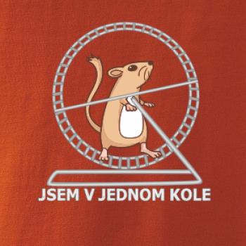 Jsem v jednom kole