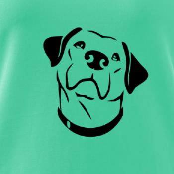 Labrador obrys Labrador obrys