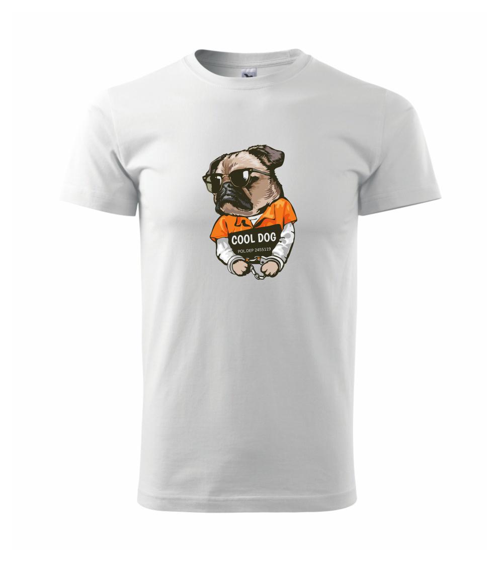 Mops výtržník Mops výtržník