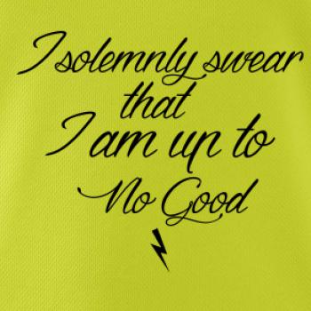 I solemnly swear that I'm up to no good