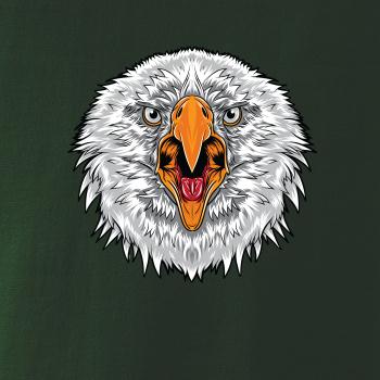 Hlava rozzlobeného orla