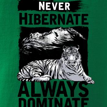 Never Hibernate