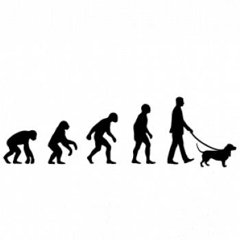 Evoluce pes baset (muž-žena)