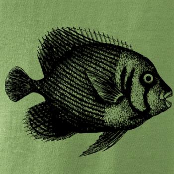 Mořská ryba kreslená