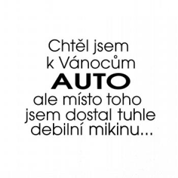 Chtěl jsem k Vánocům auto Chtěl jsem k Vánocům auto