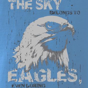 Eagle skystorm