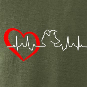 Border kolie EKG Border kolie EKG