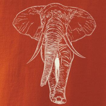 Slon v barvě slonové kosti