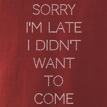 Sorry I am late i didn't want to come