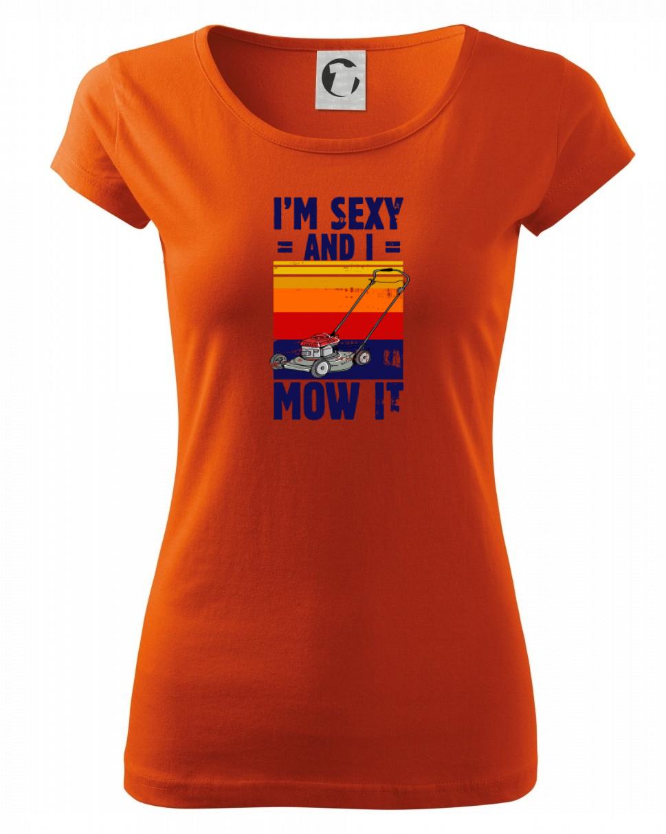 I'm sexy and i mow it