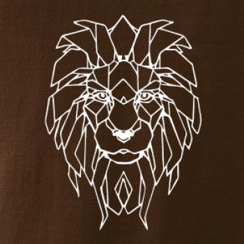 Geometrie - lev tvář