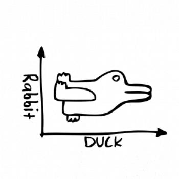 Duck Rabbit Duck Rabbit