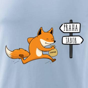 Běží liška k táboru