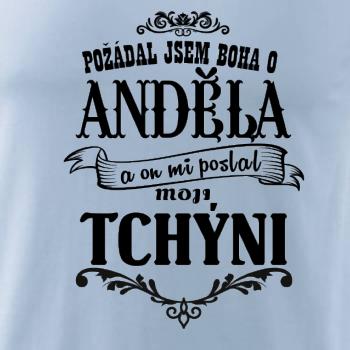 Požádal jsem boha o anděla a on mi poslal moji tchýni