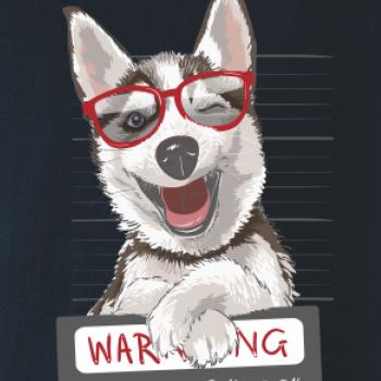 Husky - beware of dog