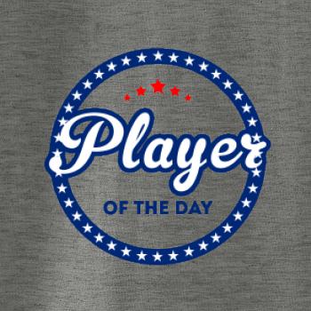 Baseball player of day
