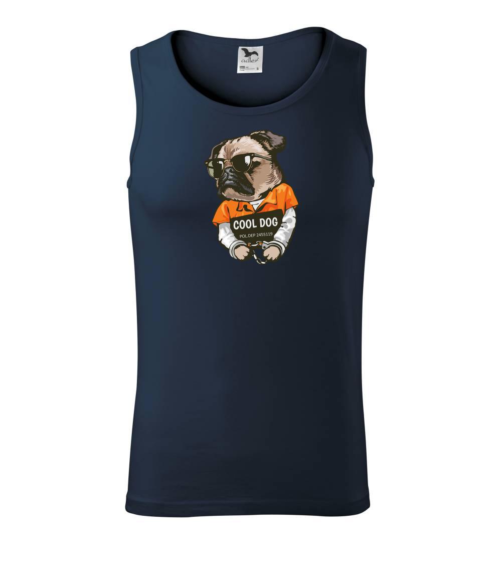 Mops výtržník Mops výtržník