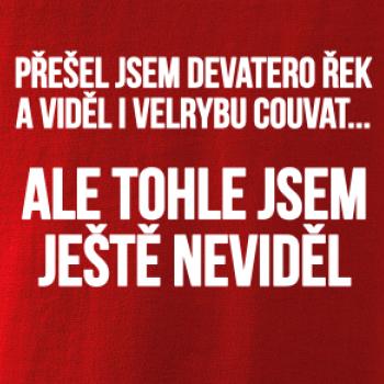 Viděl jsem velrybu couvat