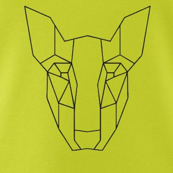 Americký Pit Bull Teriér - Geometrie