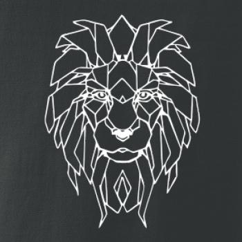 Geometrie - lev tvář Geometrie - lev tvář