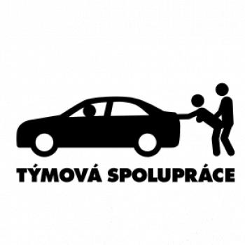 Týmová spolupráce (Hana-creative)