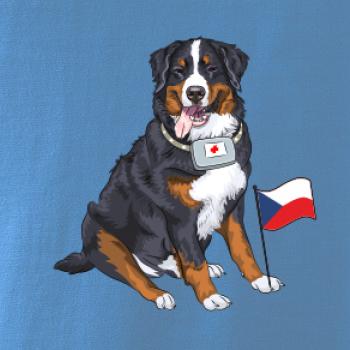 Pes záchranář bernský salašnický