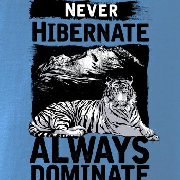 Never Hibernate
