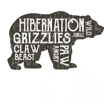Bear hiber