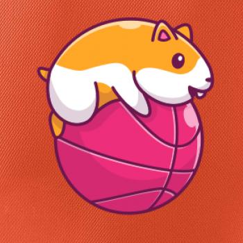 Křeček basketbalista