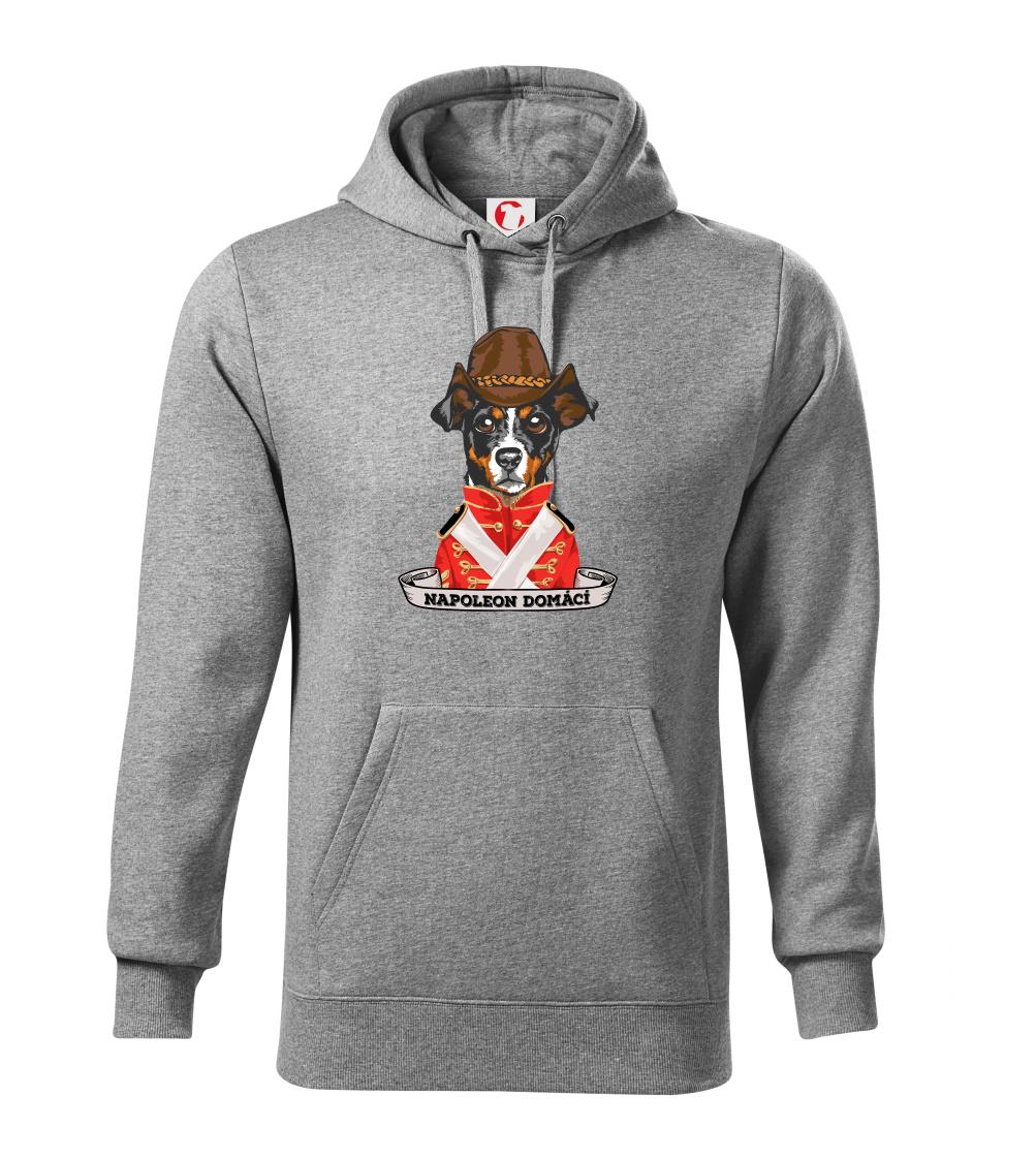 Napoleon domácí pes kříženec Napoleon domácí pes kříženec