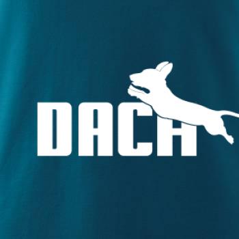 Jezevčík Dach Jezevčík Dach