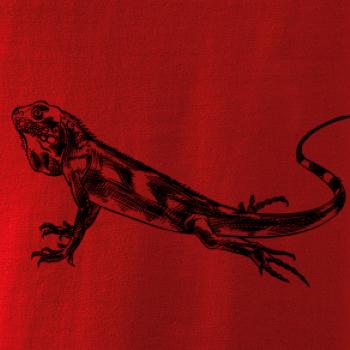 Tužkou kreslený Leguán 