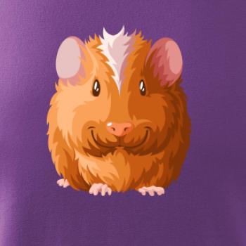 Morče - kreslené zepředu