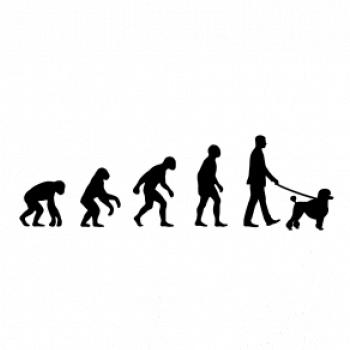 Evoluce pes pudl (muž-žena)