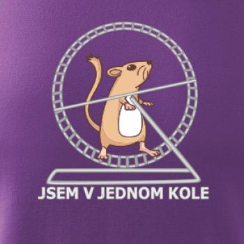 Jsem v jednom kole