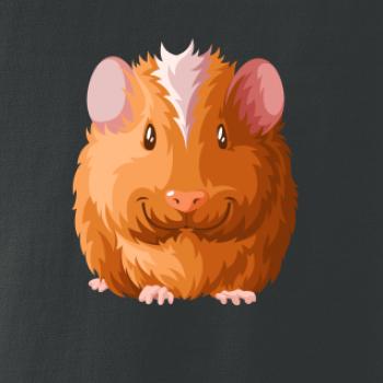 Morče - kreslené zepředu