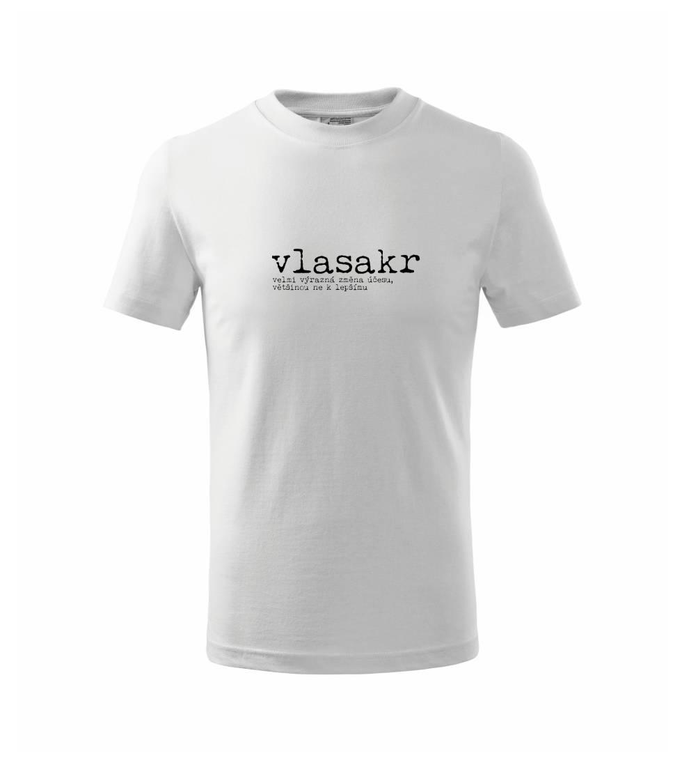 Čeština 2.0 - vlasakr