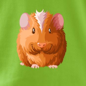 Morče - kreslené zepředu