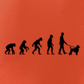 Evoluce pes pudl (muž-žena) Evoluce pes pudl (muž-žena)