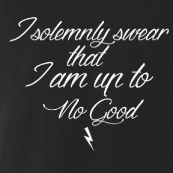I solemnly swear that I'm up to no good