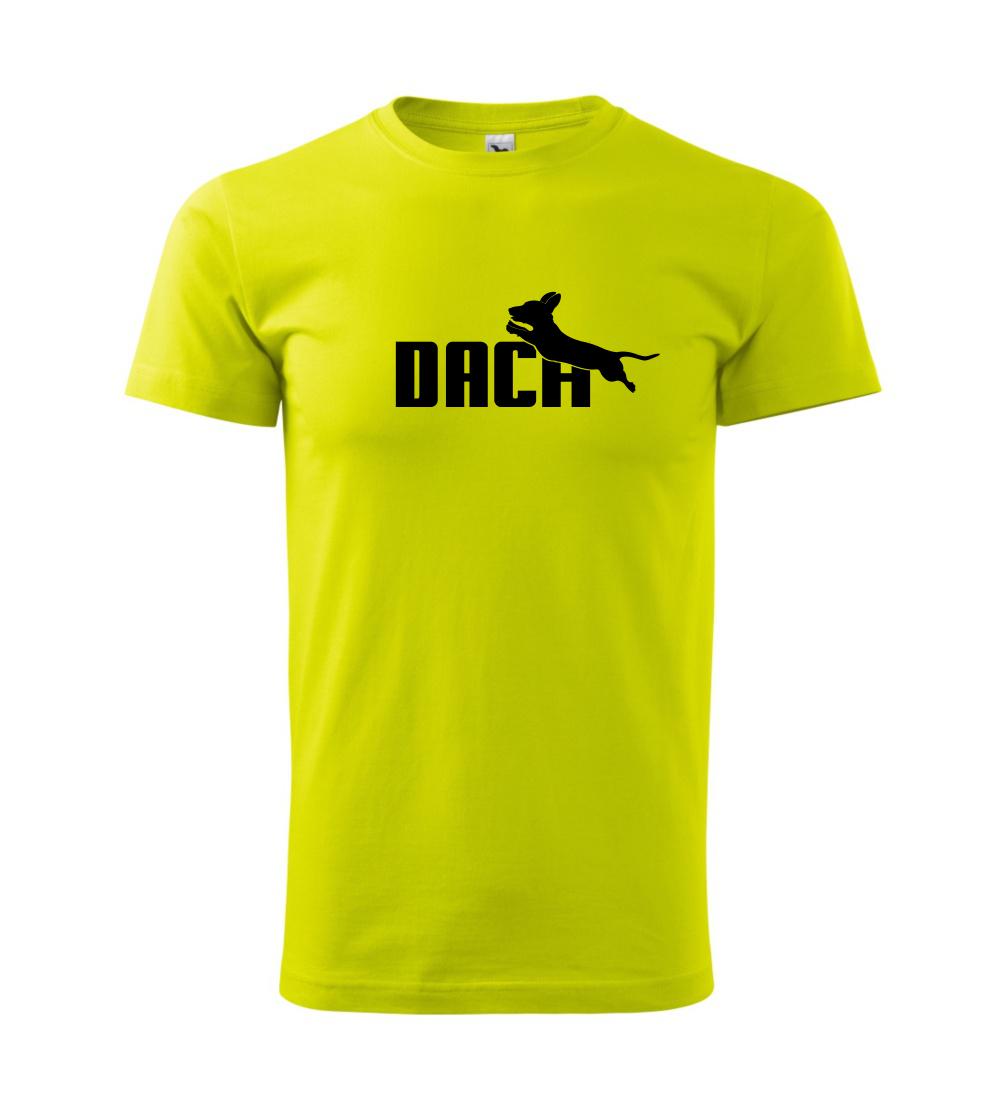 Jezevčík Dach Jezevčík Dach