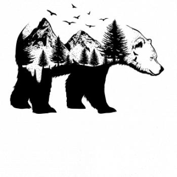 Medvěd ilustrace Medvěd ilustrace