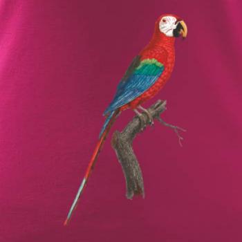 Papoušek červený na větvi