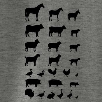 Zvířátka z vesnice