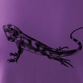 Tužkou kreslený Leguán 