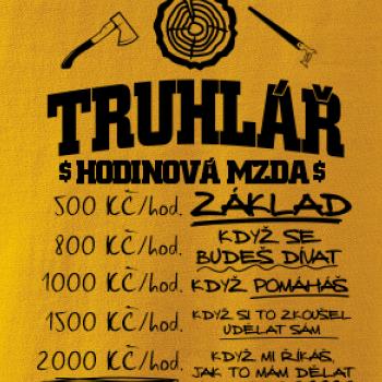 Hodinová mzda truhlář Hodinová mzda truhlář