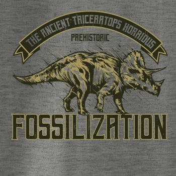 Triceratops fossil