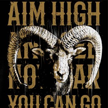 Goat high