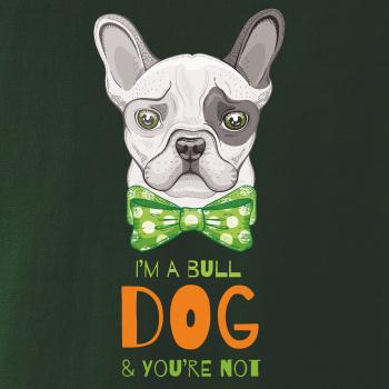 I am bull dog, you are not